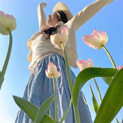 年鉴计划