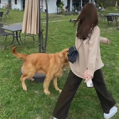无防备孕记